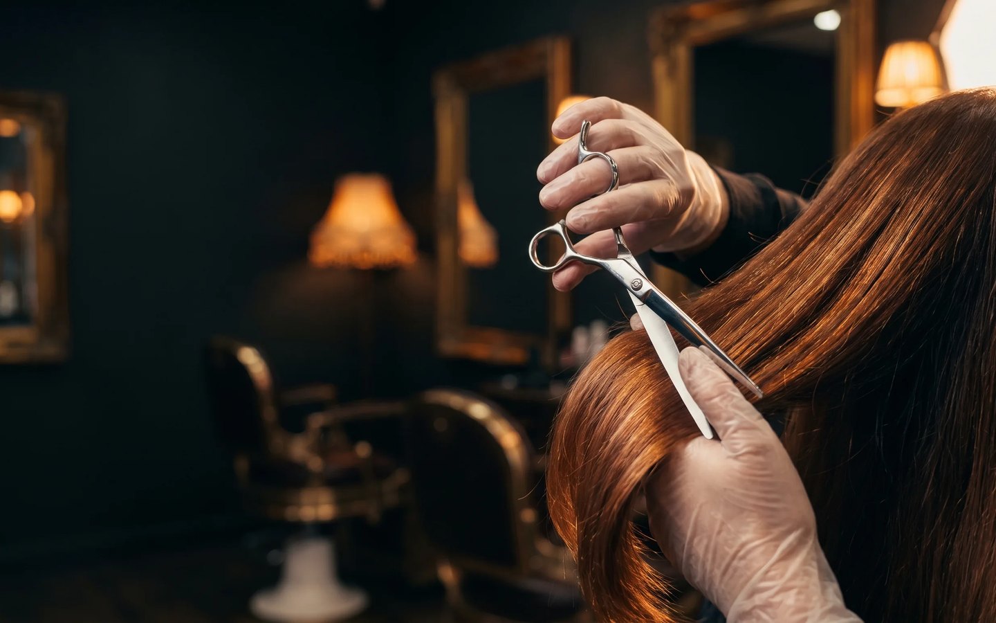 Haarmonie Salon Demo